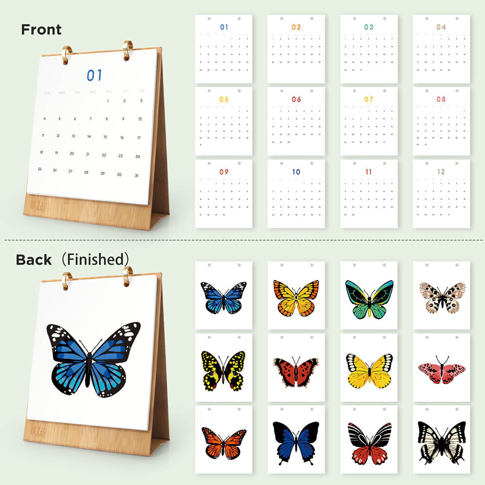 2026 Desk Calendar Paint by Numbers | Colorful Butterfly Specimens