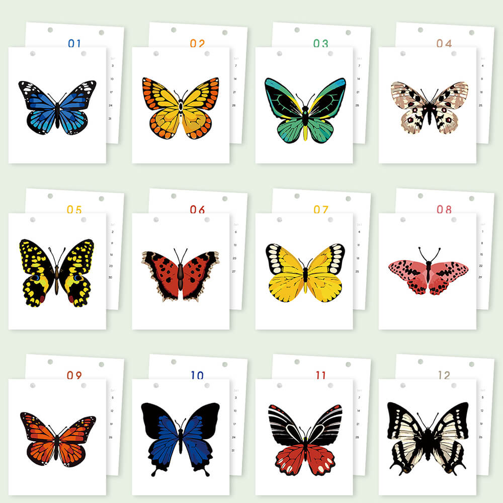 2026 Desk Calendar Paint by Numbers | Colorful Butterfly Specimens
