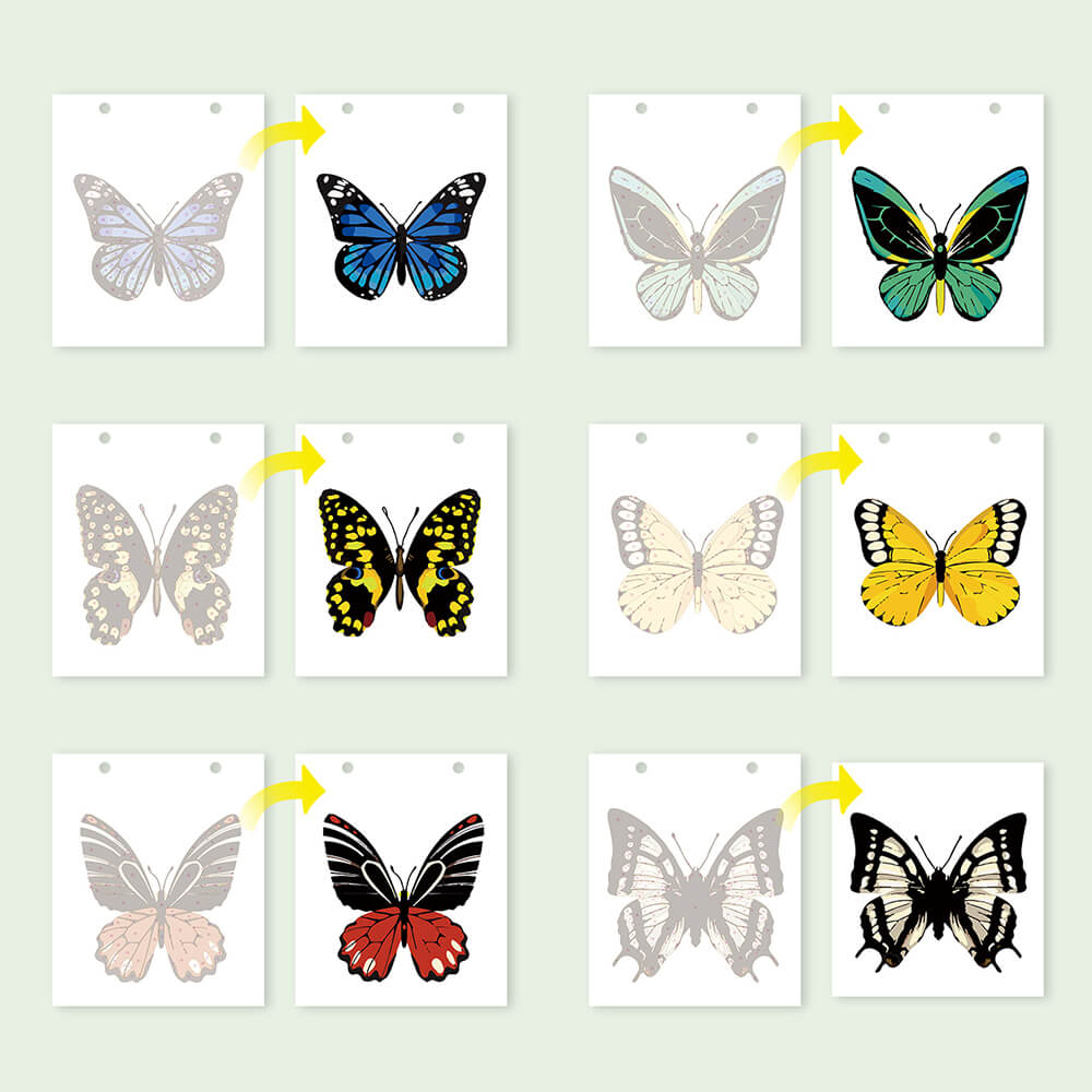 2026 Desk Calendar Paint by Numbers | Colorful Butterfly Specimens