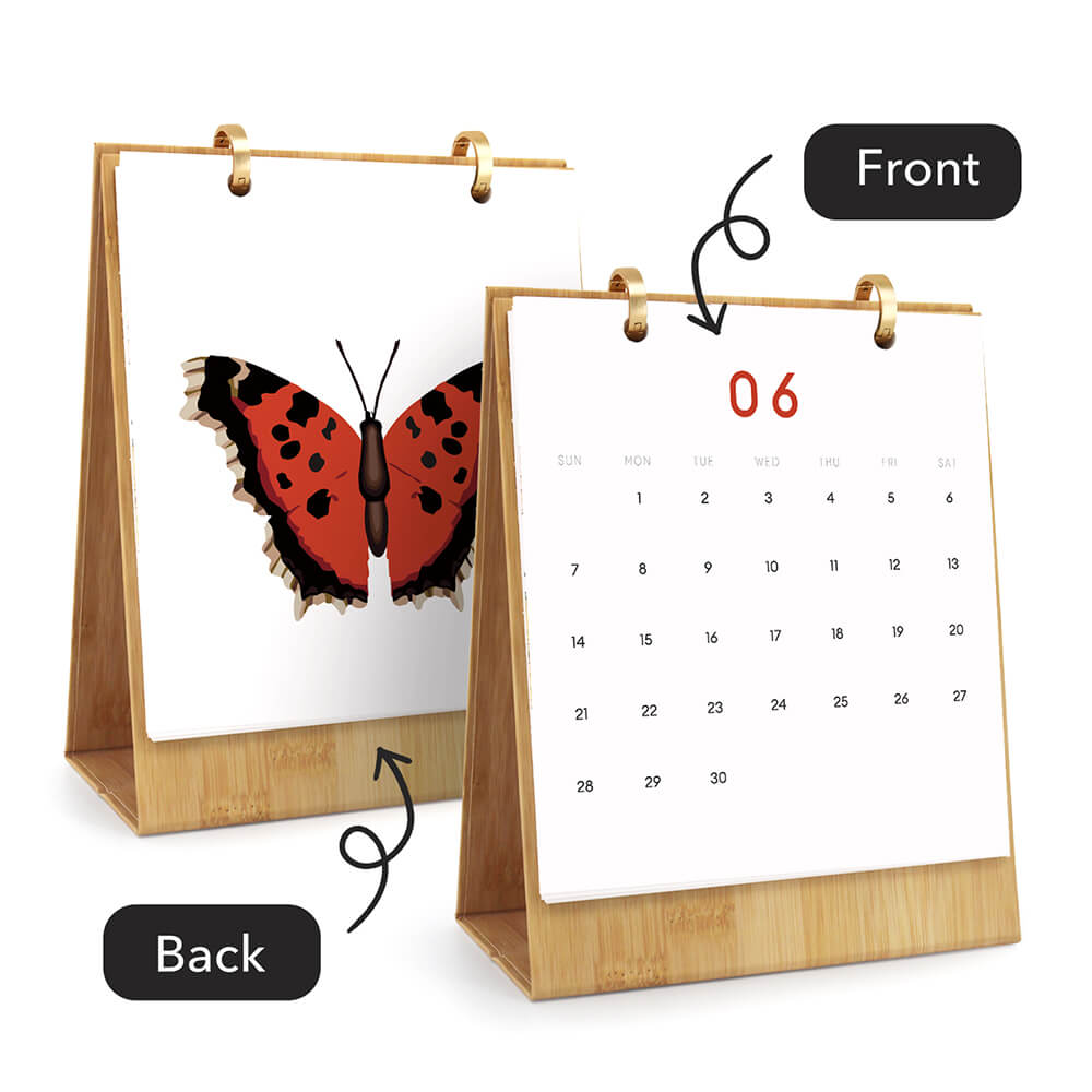 2026 Desk Calendar Paint by Numbers | Colorful Butterfly Specimens