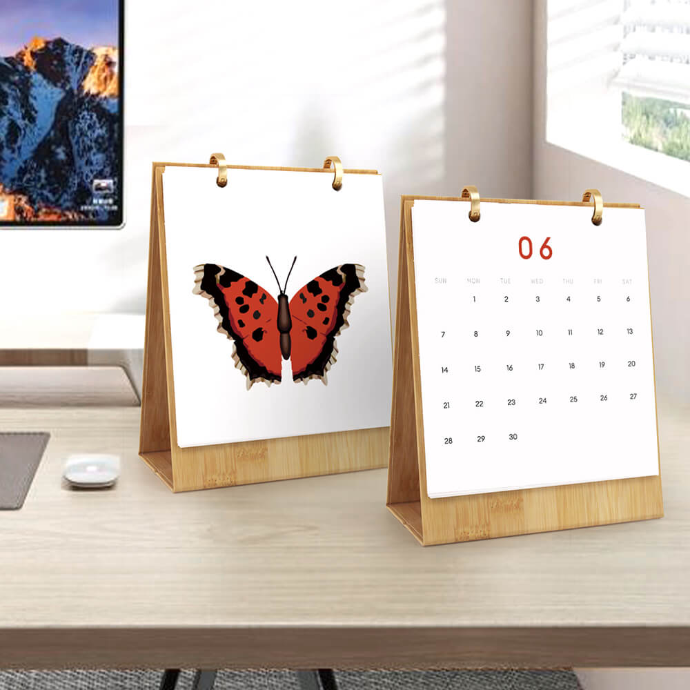2026 Desk Calendar Paint by Numbers | Colorful Butterfly Specimens