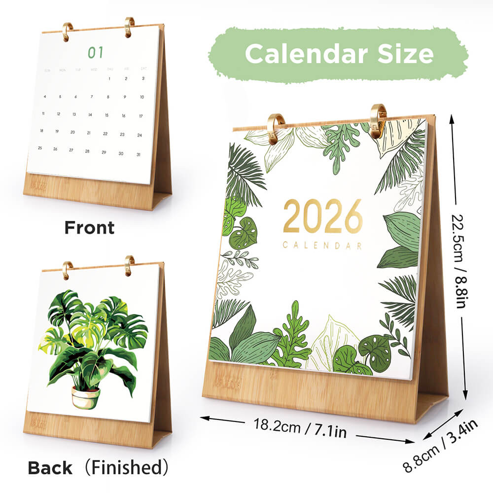 2026 Desk Calendar Paint by Numbers | Green Potted Plant