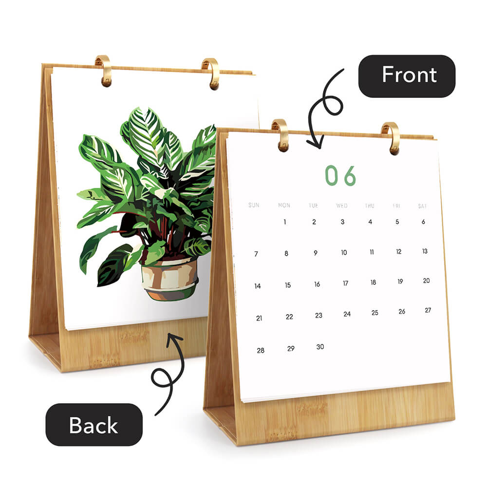2026 Desk Calendar Paint by Numbers | Green Potted Plant