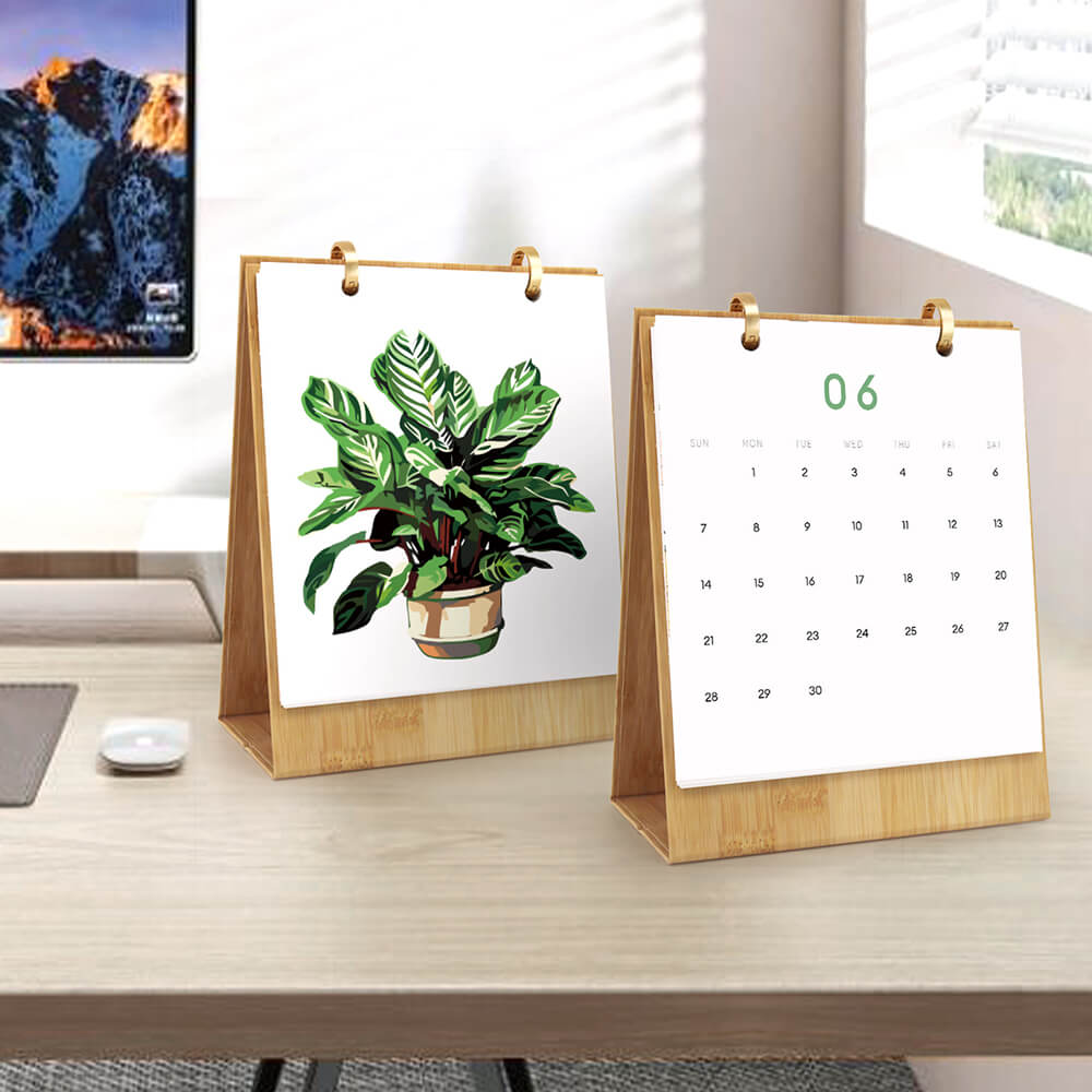 2026 Desk Calendar Paint by Numbers | Green Potted Plant