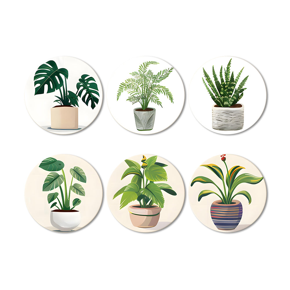 6Pcs Potted Tropical Plants Coasters Paint by Numbers