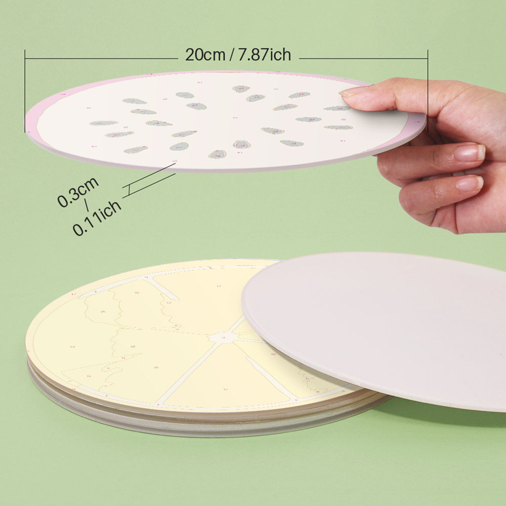 6Pcs Various Fruits Placemats Paint by Numbers