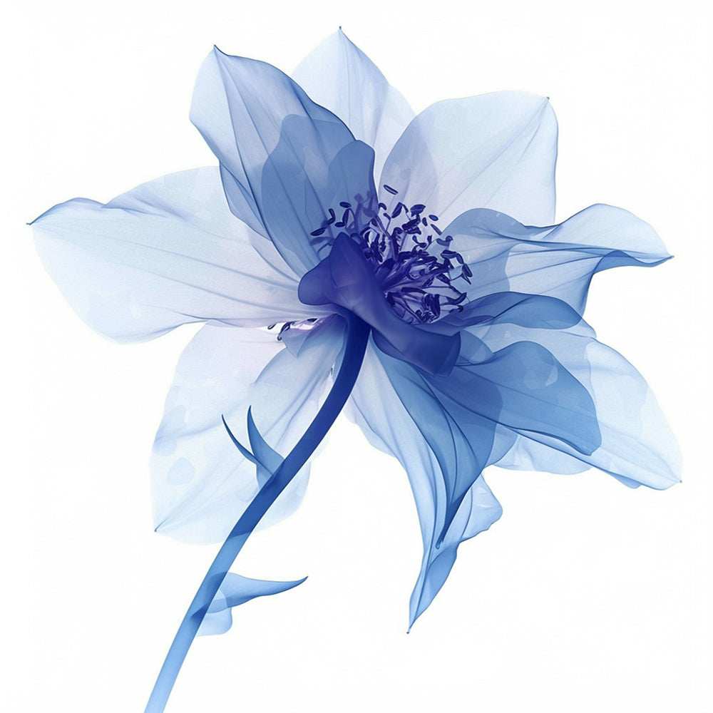 Blue Transparent Flower Paint by Numbers