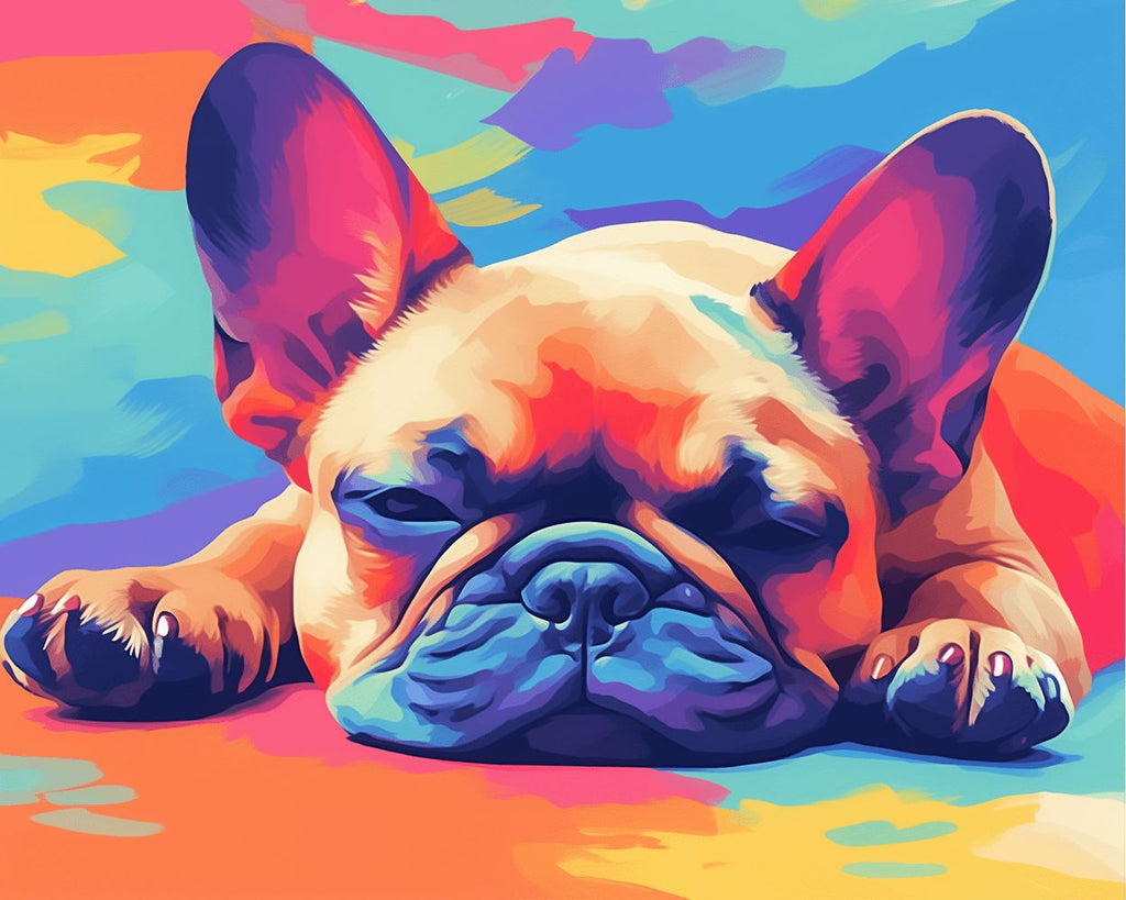 Colored French Bulldog Lying on the Ground Paint by Numbers