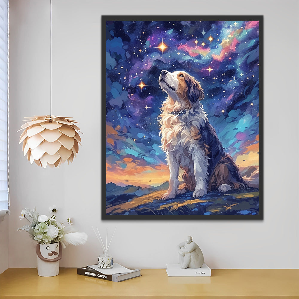 Dog Looking up at the Stars Paint by Numbers