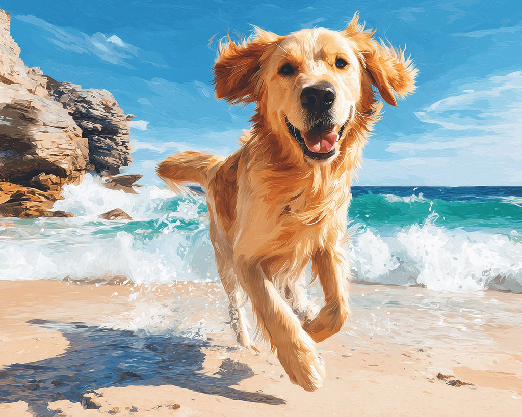 Golden Retriever Running Happily by the Sea Paint by Numbers