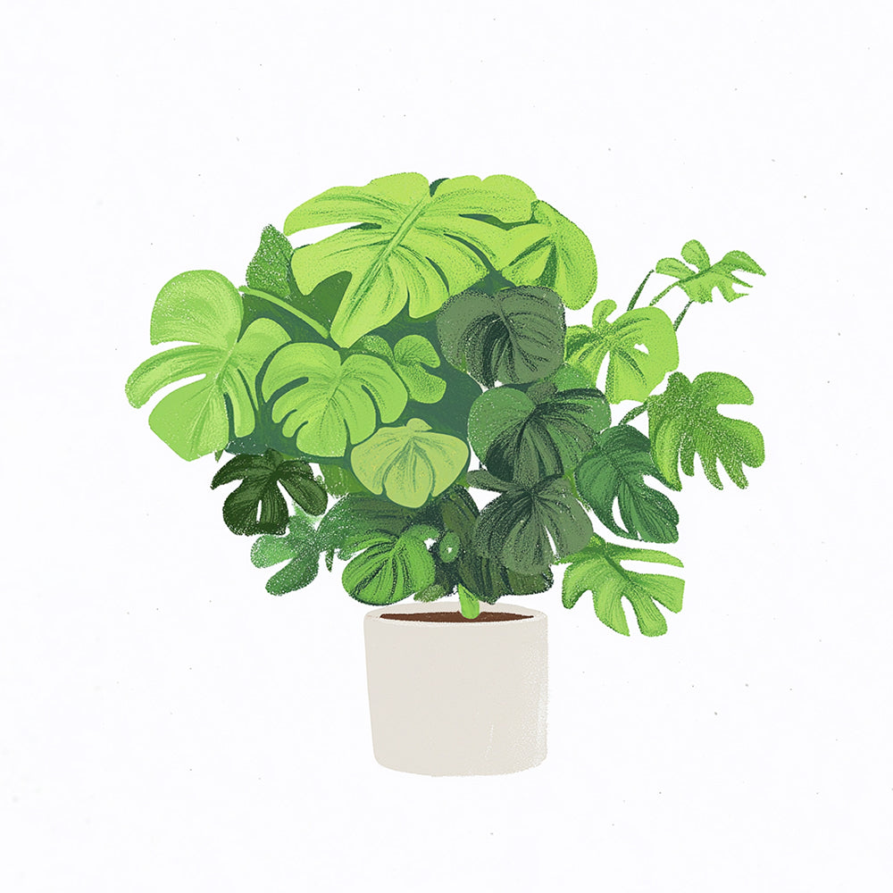 Monstera Leaf Potted Plant Mini Paint by Numbers