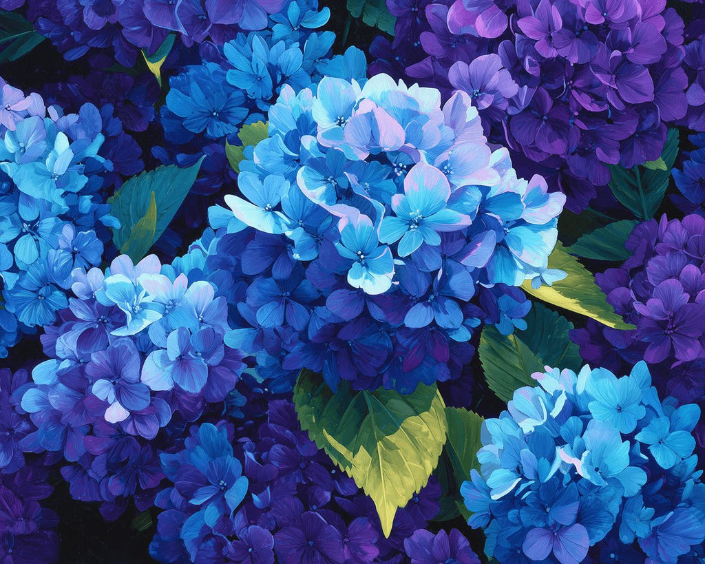 Plump Blue-Purple Hydrangea Flowers Paint by Numbers