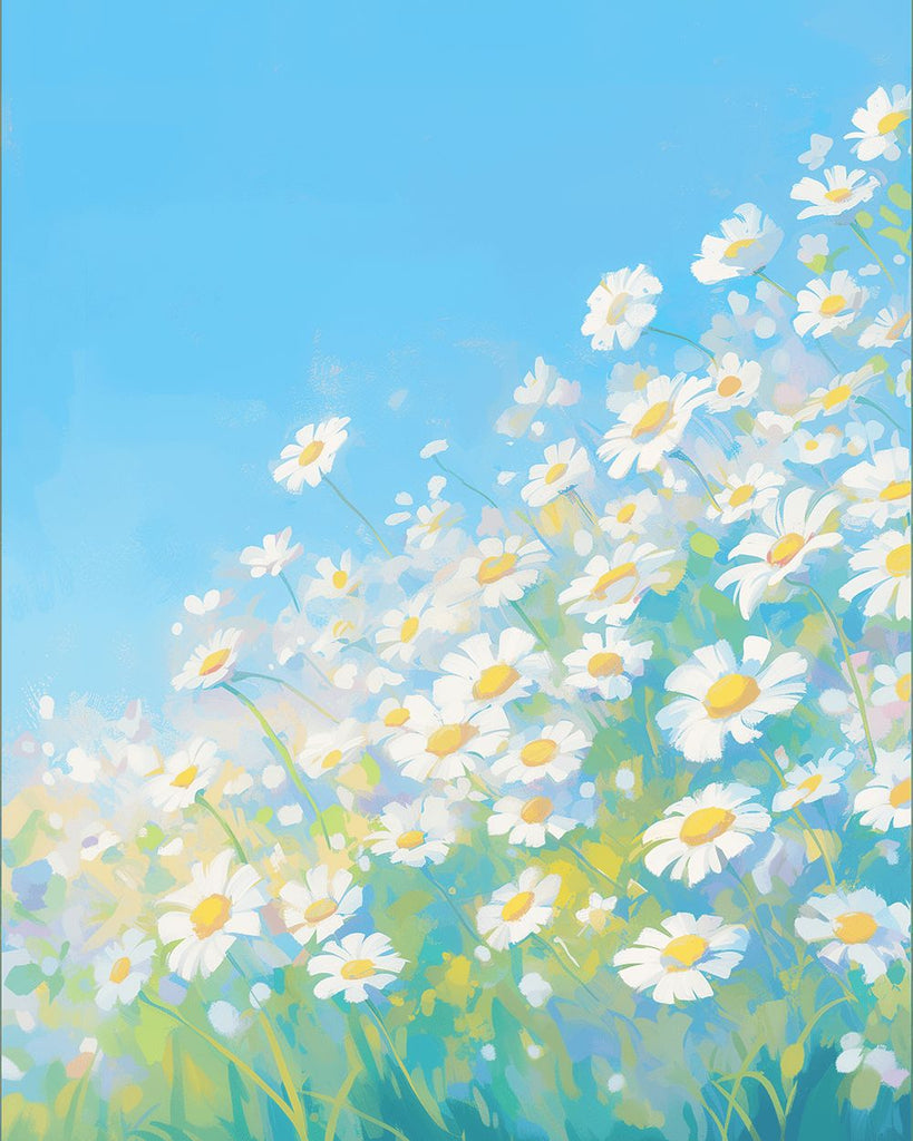 Pure White and Blue Daisies Paint by Numbers
