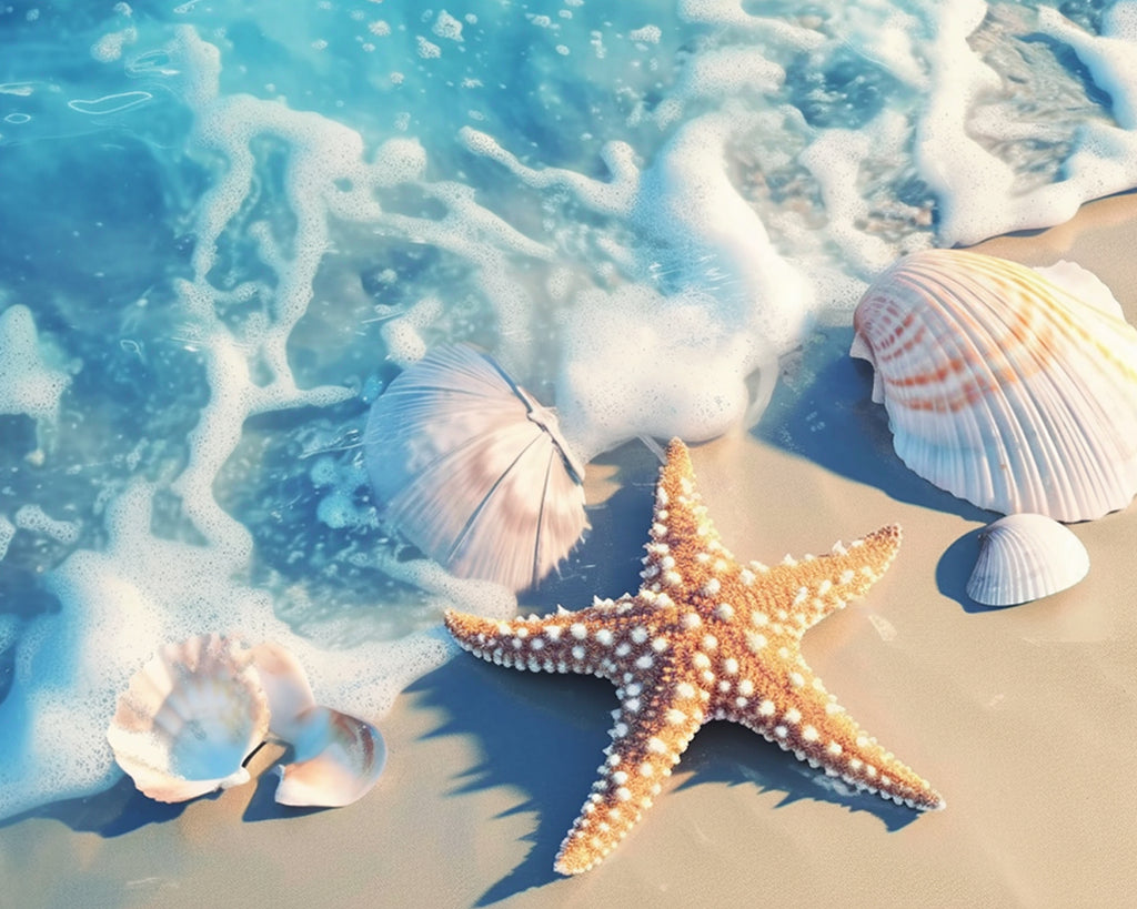 Starfish and Shells on the Beach Paint by Numbers