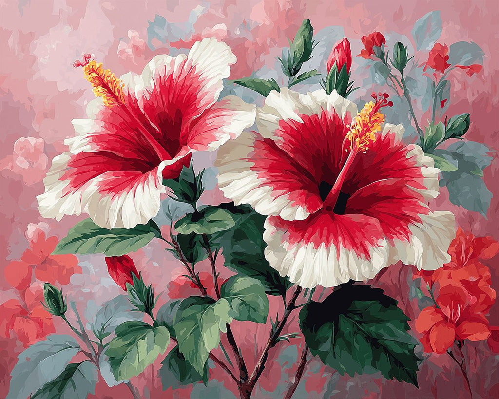 Two Red and White Hibiscus Flowers Paint by Numbers