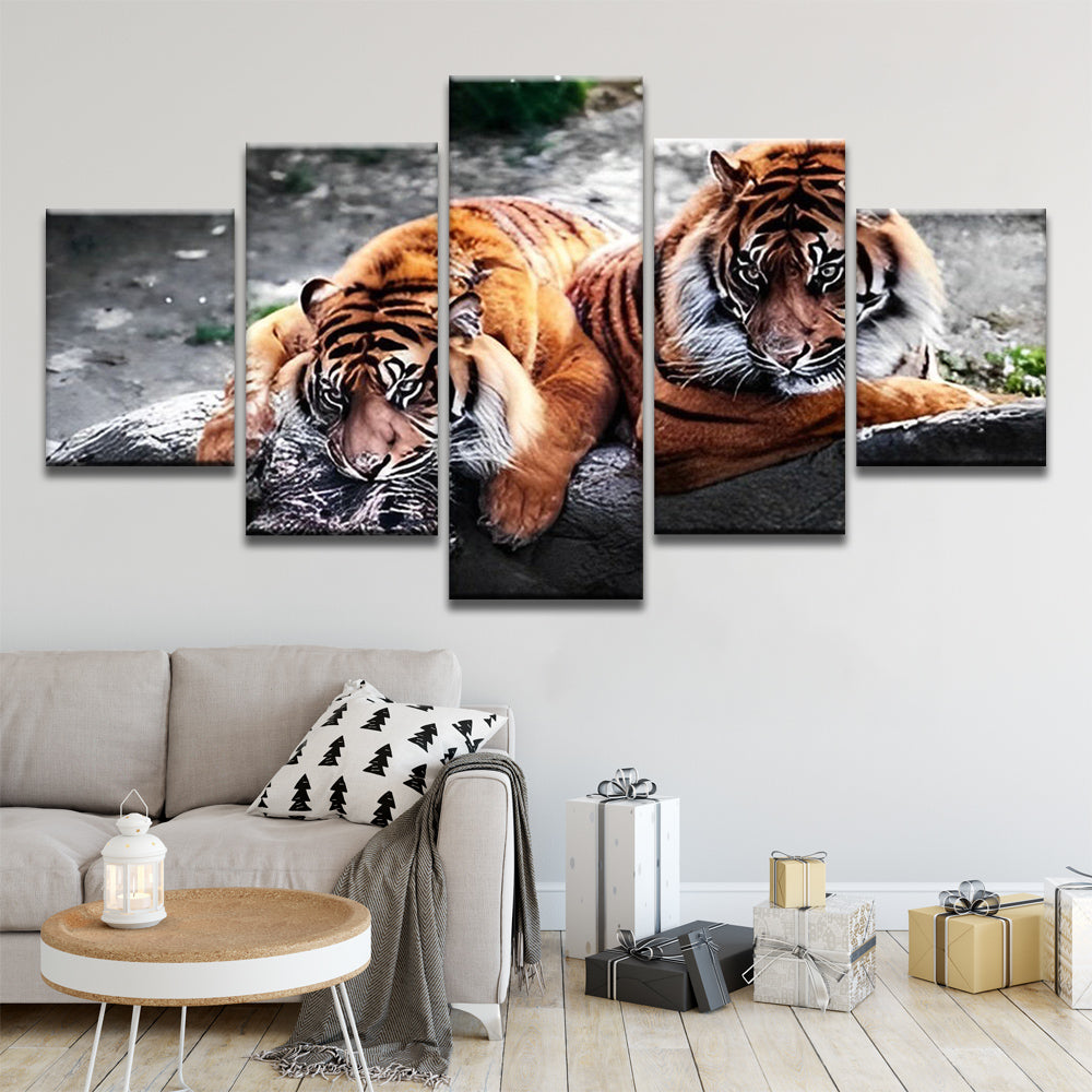 Tiger Paint By Numbers – Houseart.uk