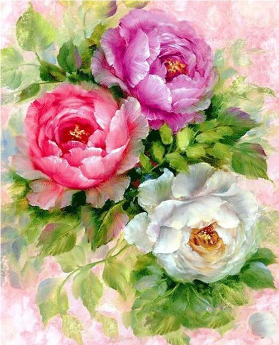 Plant Flower Paint By Numbers Canvas Wall Set PBNFLOL26