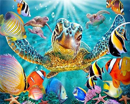 Marine Animal Paint By Numbers Canvas Wall Set PBNMARW16