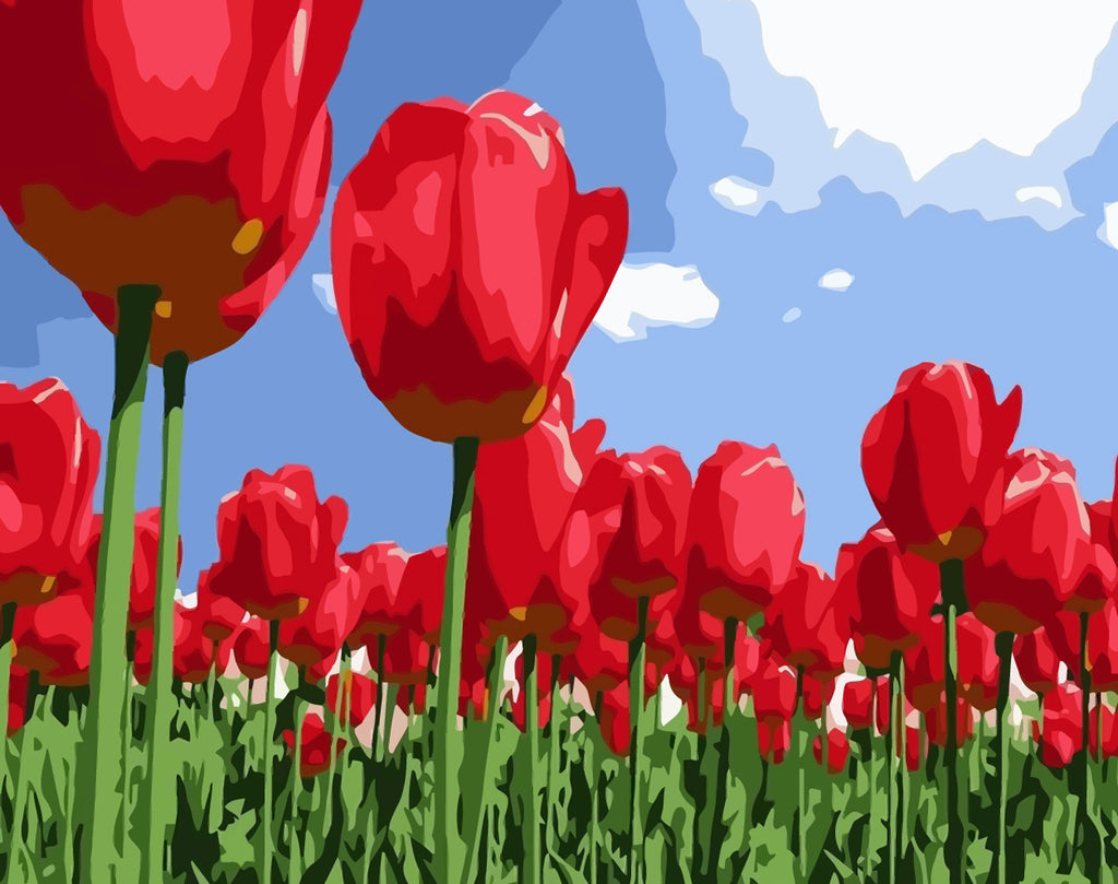 A Large Field of Red Tulips Paint by Numbers