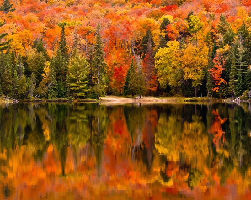 Autumn Woods and Reflection Paint by Numbers