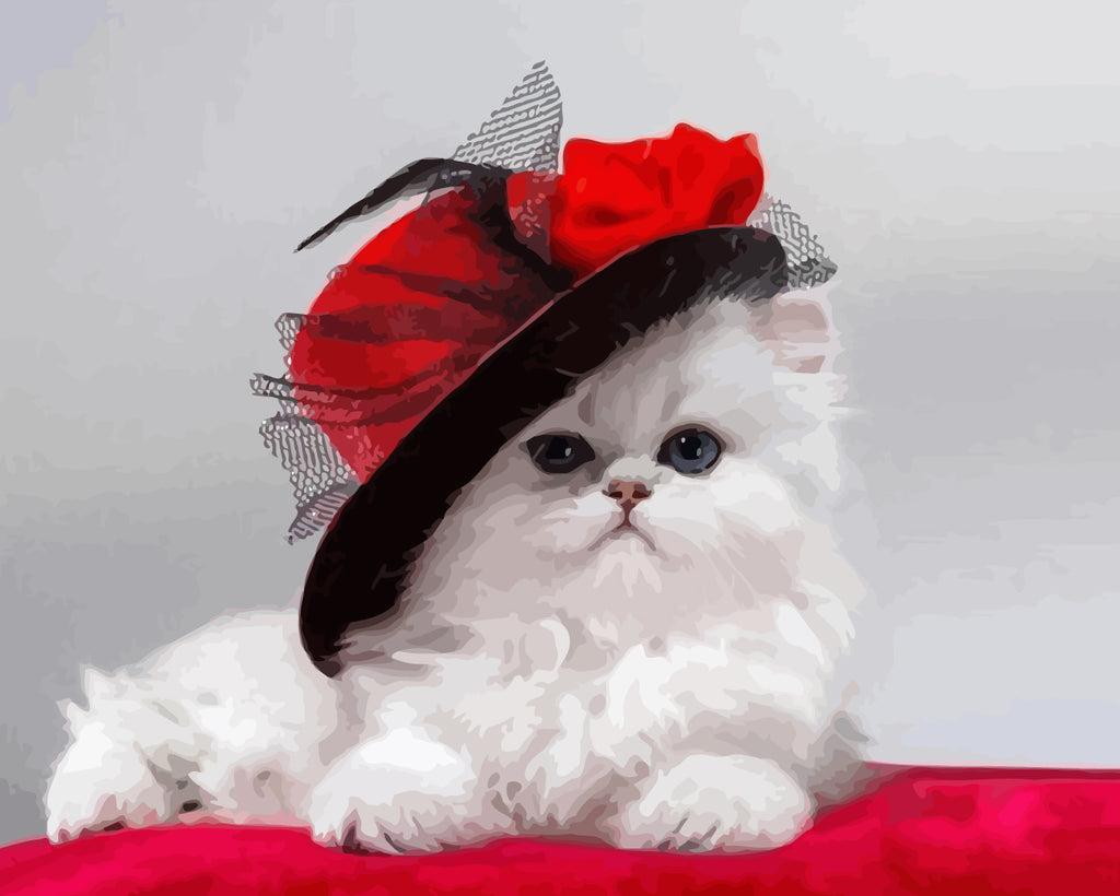 Beautiful White Cat Wearing Red Hat Paint by Numbers