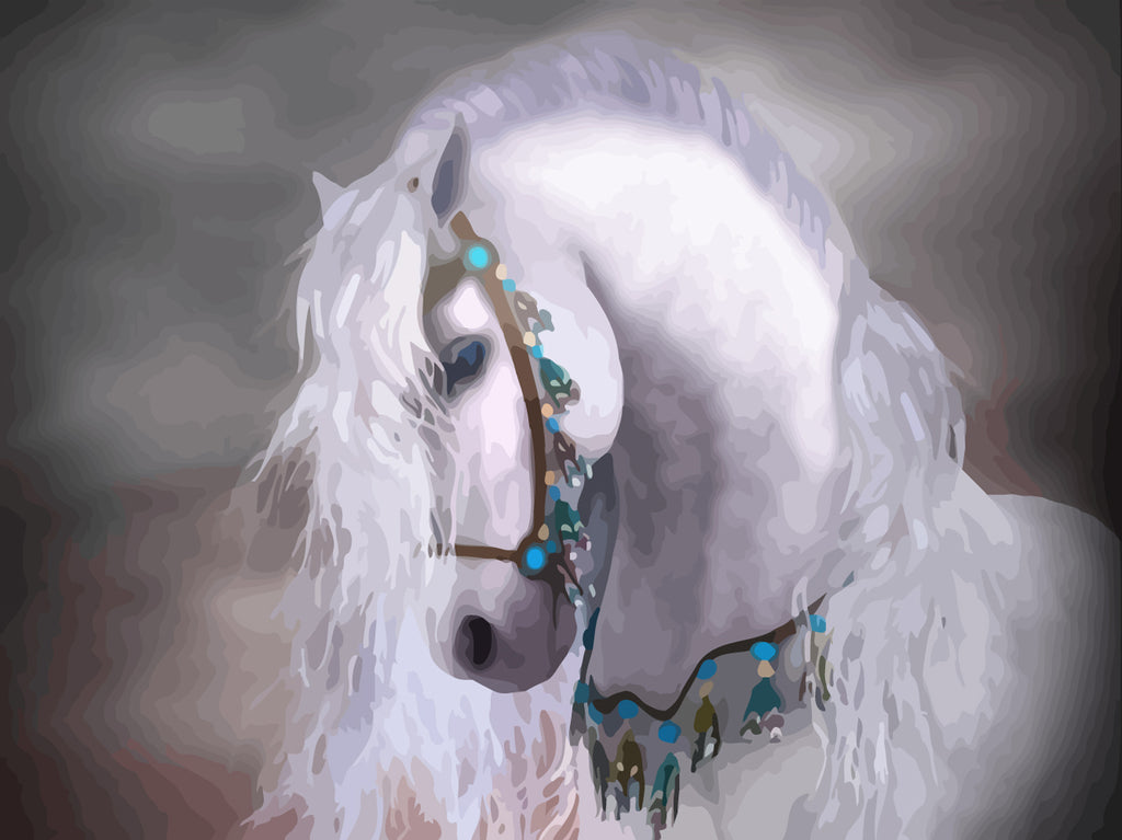 Beautiful White Horse Paint by Numbers