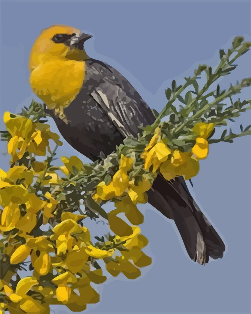 Bird and Winter Jasmine Paint by Numbers