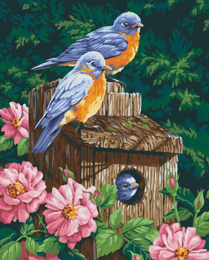 Birds and Flowers in the Garden Paint by Numbers