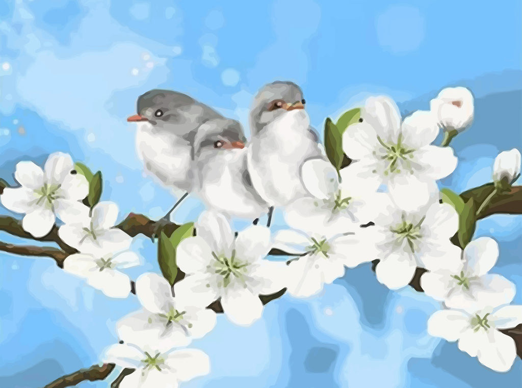 Birds on the Tree with White Flowers Paint by Numbers