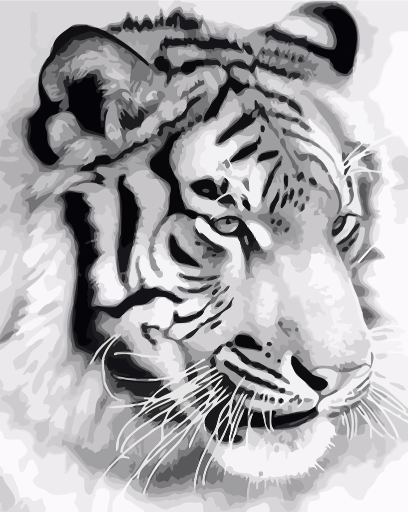 Black and White Tiger Paint by Numbers