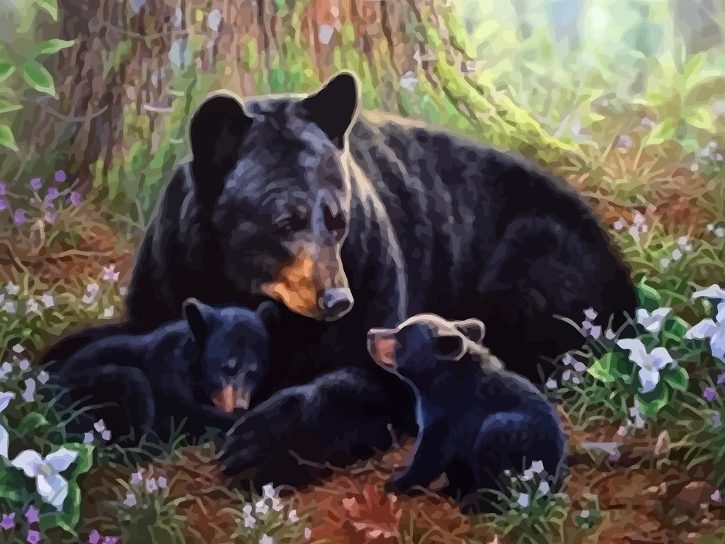 Black Bears under the Tree Paint by Numbers