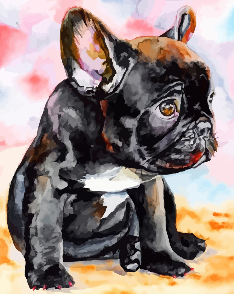 Black Bulldog Paint by Numbers