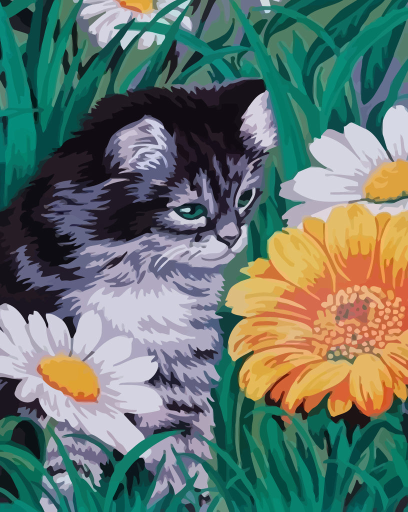 Black Cat among Flowers Paint by Numbers