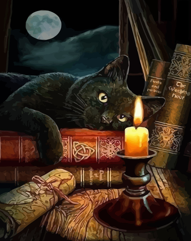 Black Cat and Candle Paint by Numbers