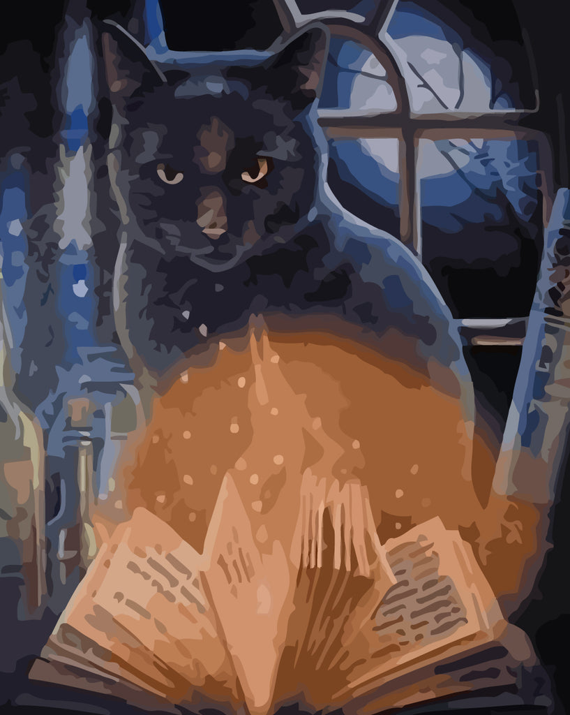 Black Cat and Magic Book Paint by Numbers