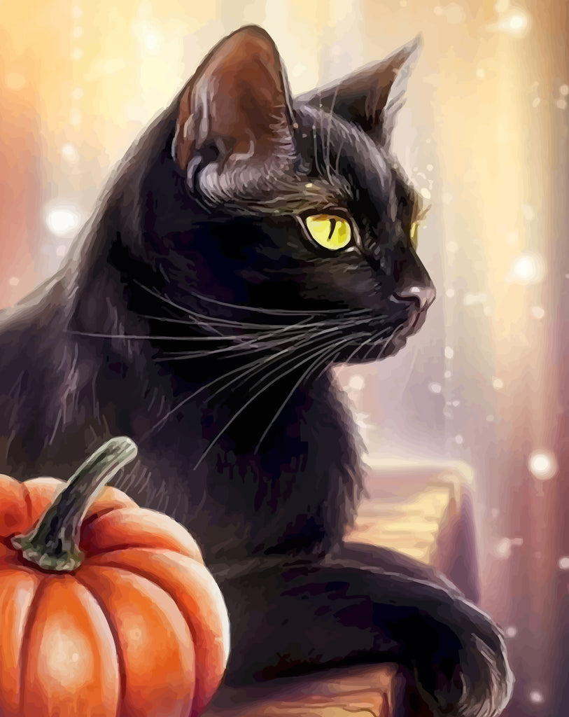 Black Cat and Pumpkin Paint by Numbers