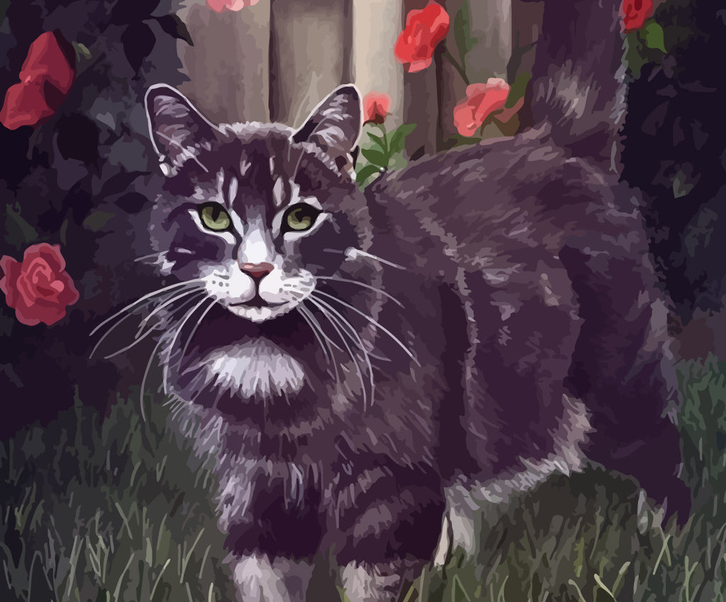 Black Cat and Red Flowers Paint by Numbers