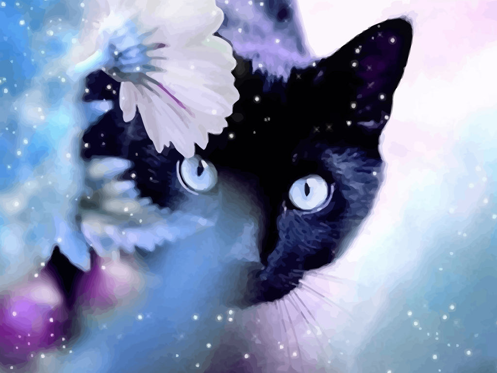 Black Cat and White Flower Paint by Numbers