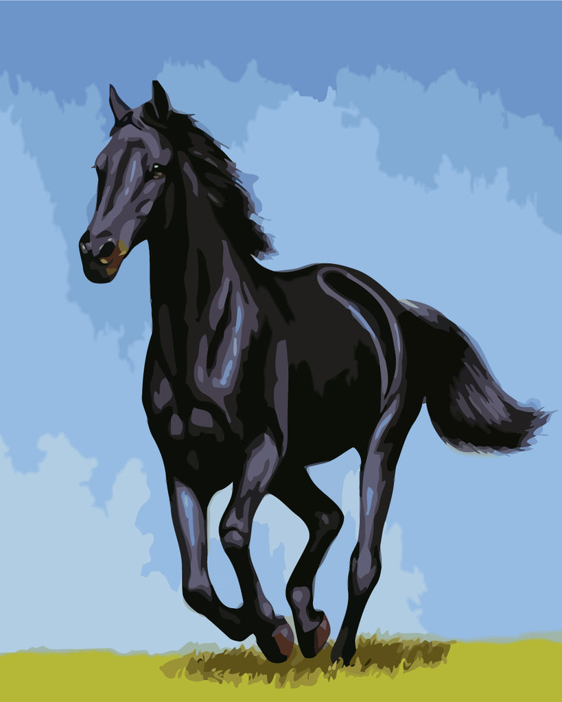 Black Horse and Blue Sky Paint by Numbers