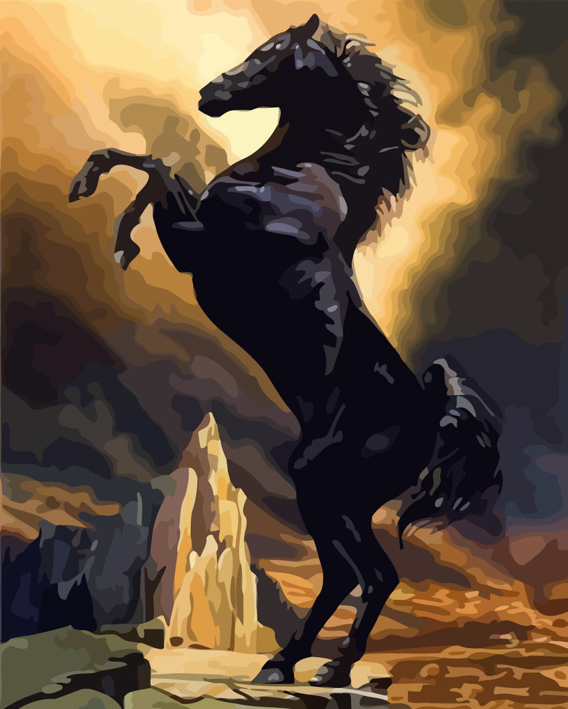 Black Horse Paint by Numbers