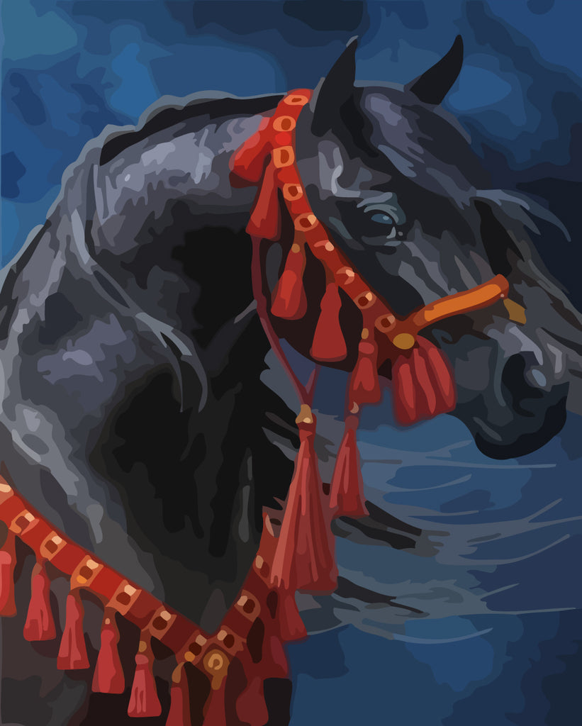 Black Horse Paint by Numbers