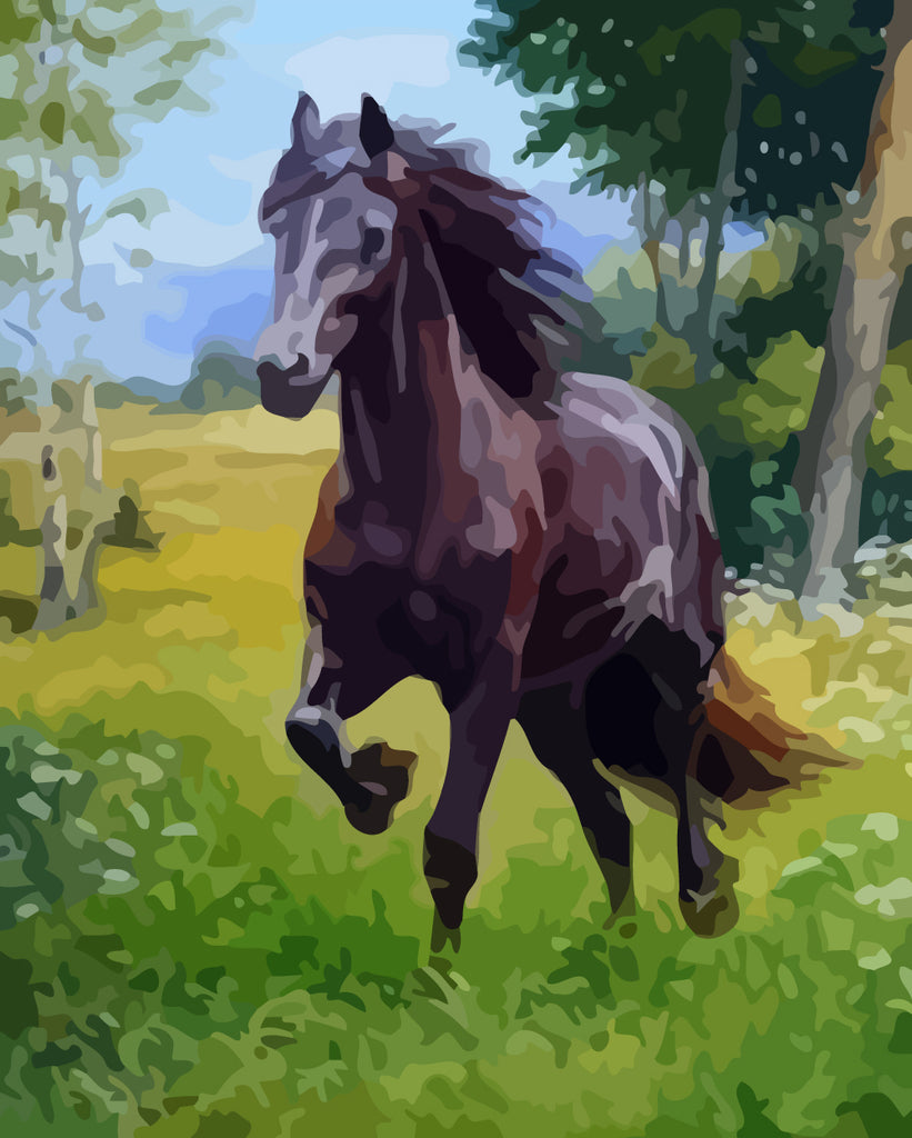 Black Horse Running on Grass Paint by Numbers
