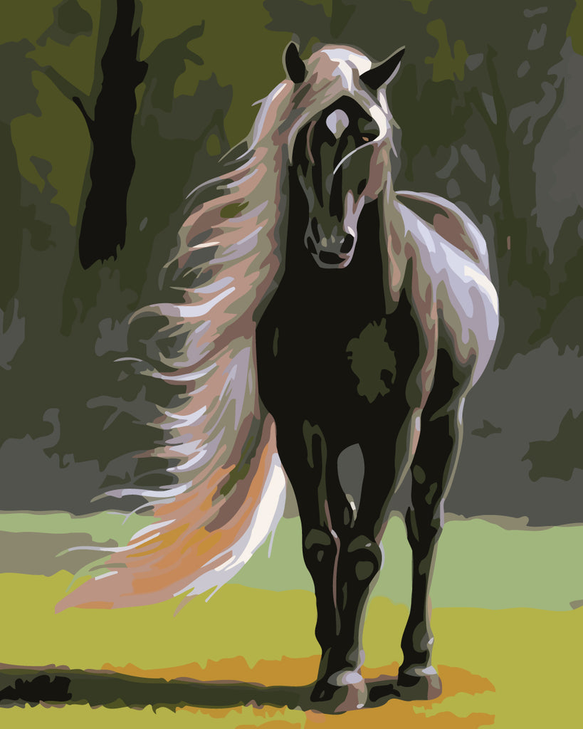 Black Horse with White Hair Paint by Numbers