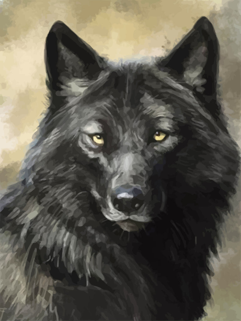 Black Wolf Paint by Numbers