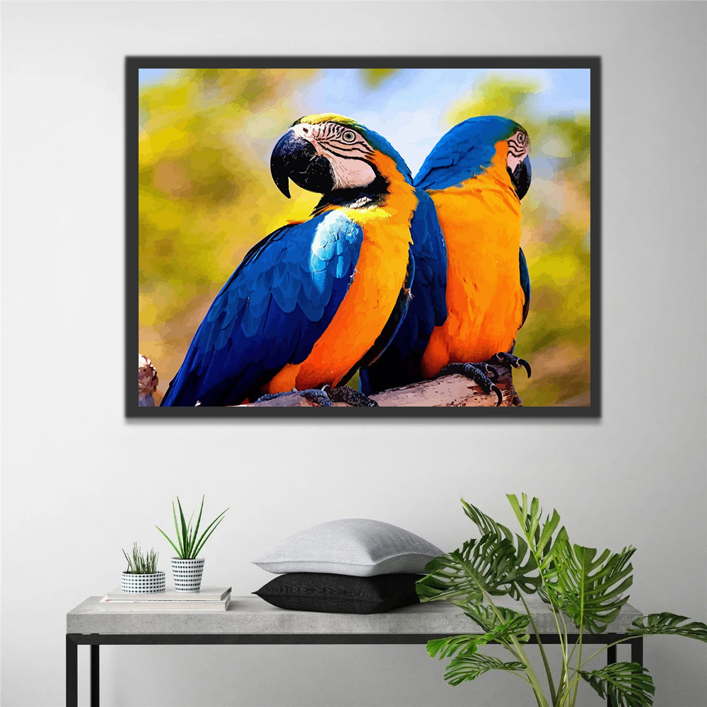 Blue and Yellow Parrots Paint by Numbers