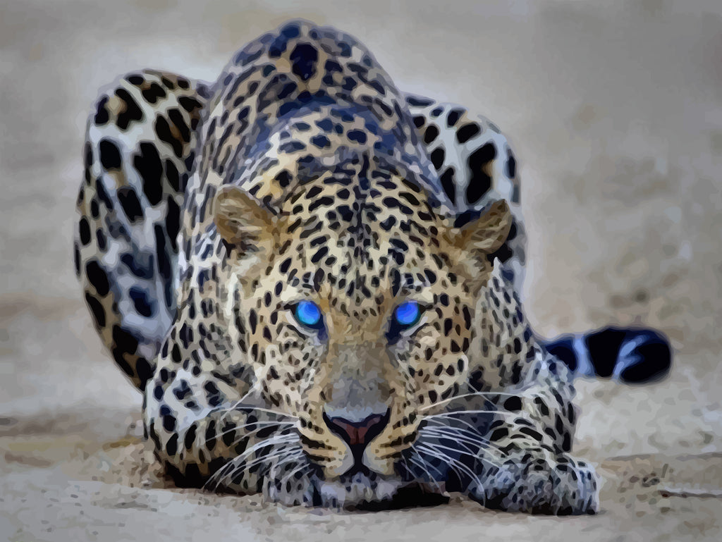 Blue Eyes Leopard Paint by Numbers