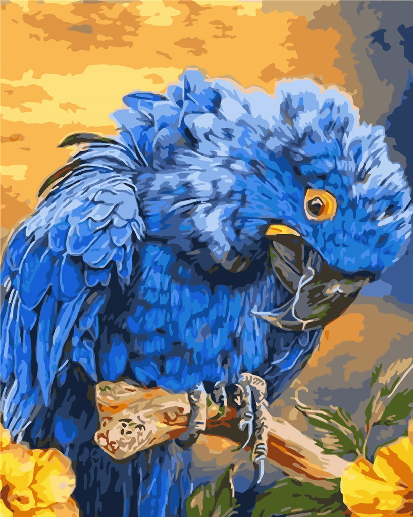 Blue Parrot Paint by Numbers