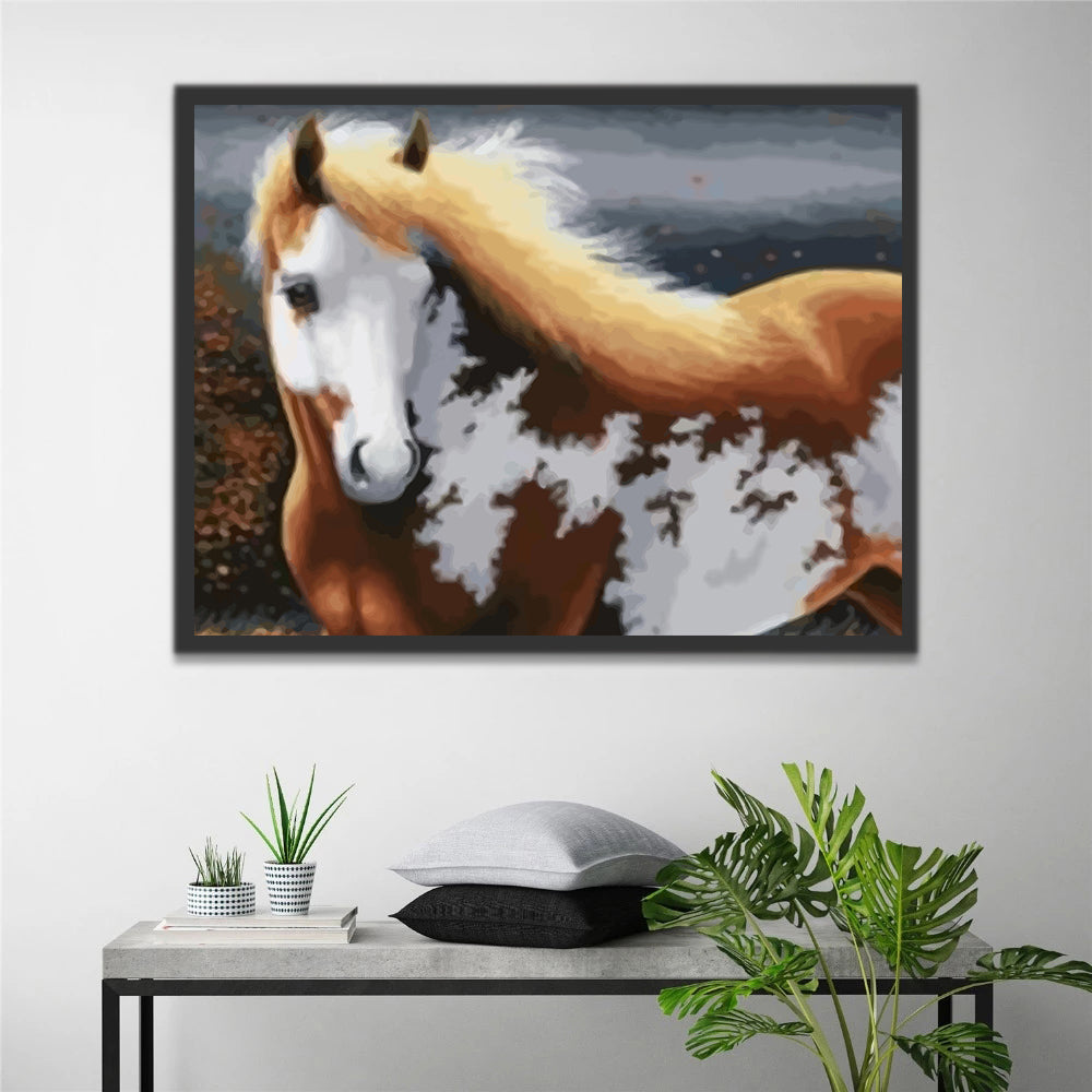 Brown and White Horse Paint by Numbers