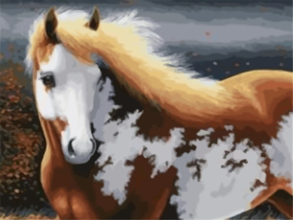 Brown and White Horse Paint by Numbers