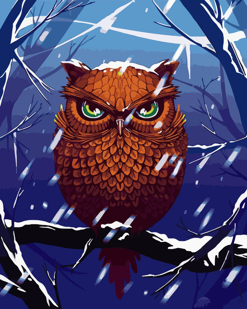 Brown Owl at Night Paint by Numbers